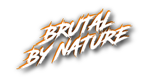 LP_4090_iCHILL_frostbite_BBN.png
