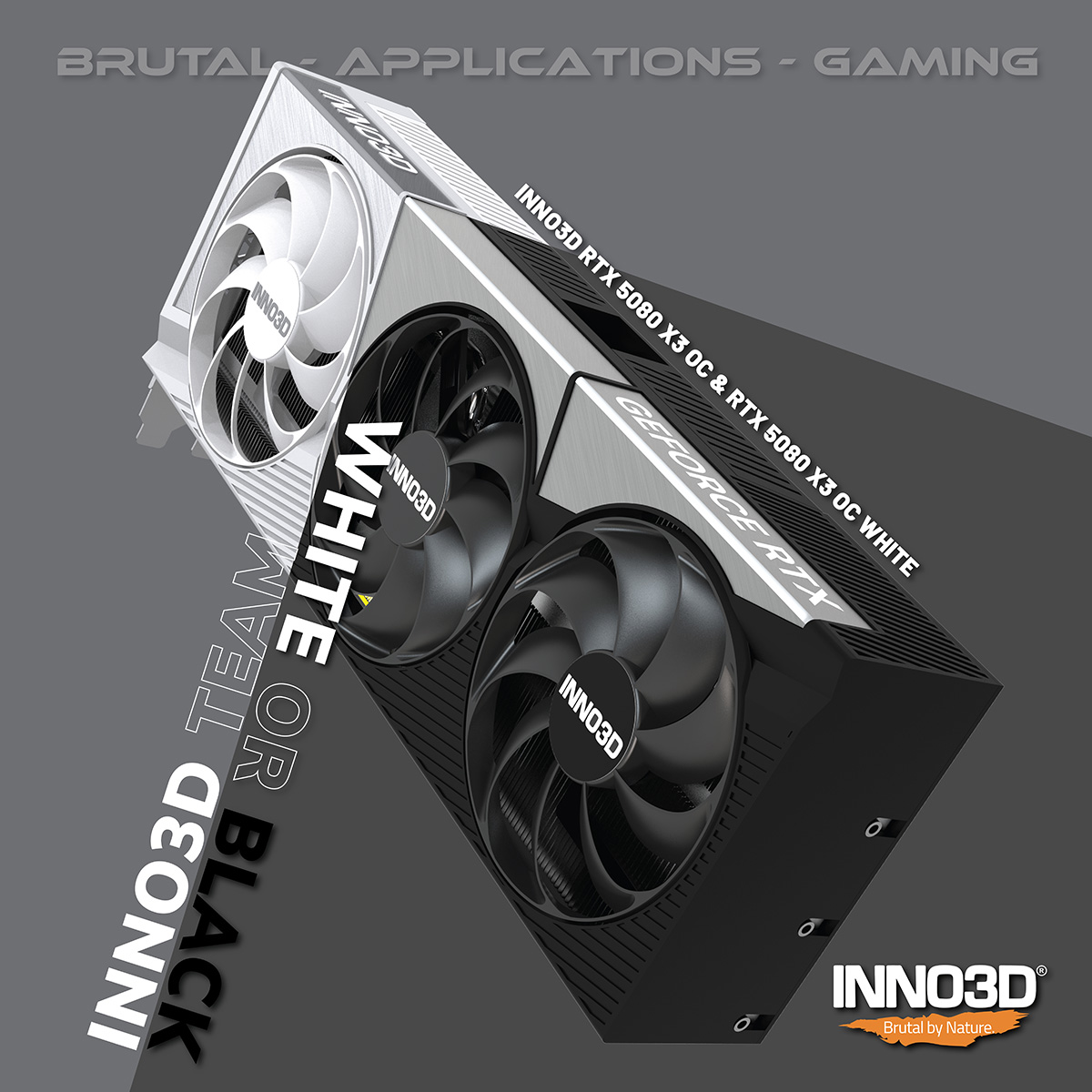 20251204_Question_5080_white_or_black