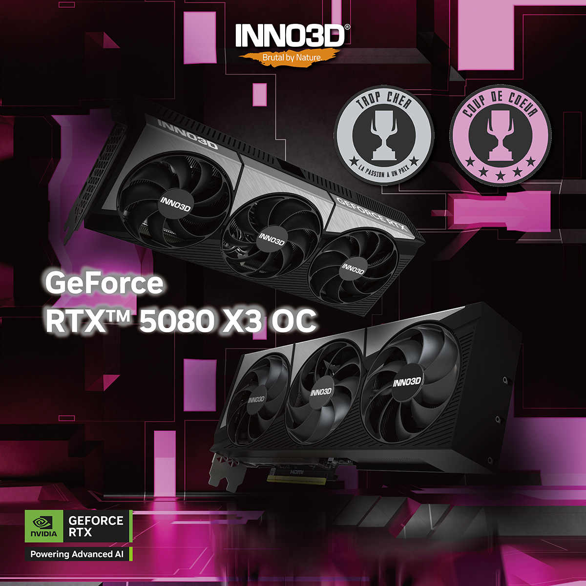20250403_award_5080_X3_OC_Cowcotland-01.jpg